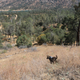 Illustration for article titled Toby Hike Day: Wellbarn Road to San Joaquin River Trail